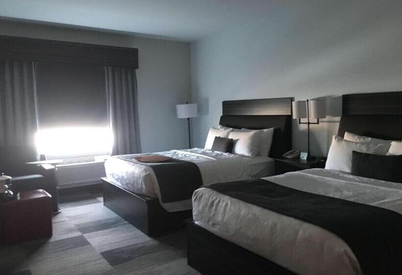 Номер Стандарт, Best Western Plus Airport Inn & Suites