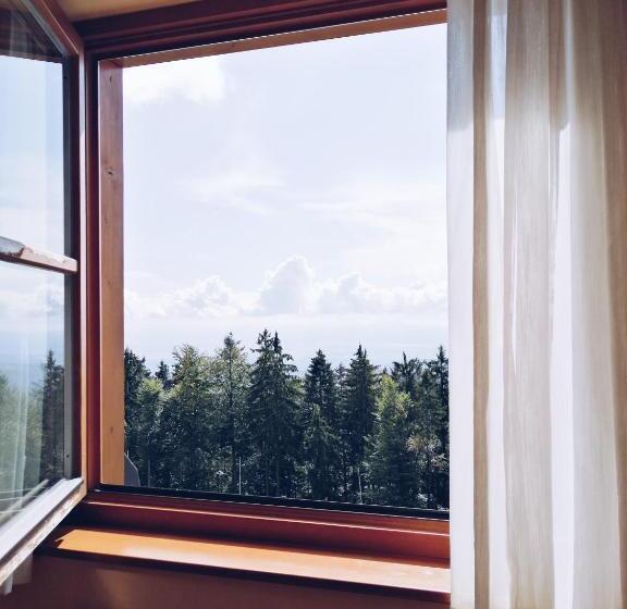 اتاق استاندارد, Pohorje Village Wellbeing Resort   Forest Hotel Videc