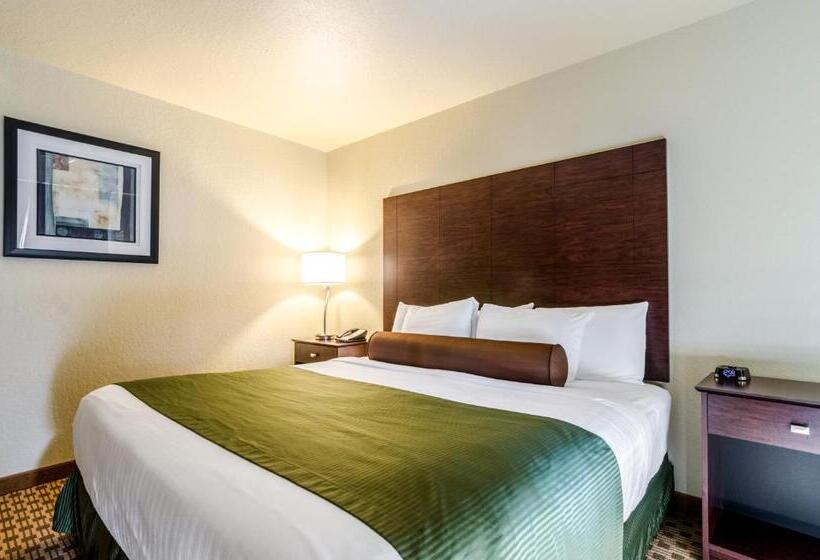 Четырехместный Номер Стандарт, Cobblestone Inn & Suites  Cambridge