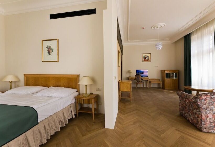 小型套房, Grandhotel Ambassador Národní Dům