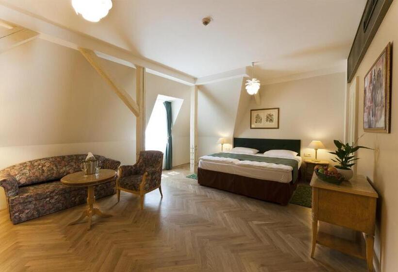 高级大房间, Grandhotel Ambassador Národní Dům