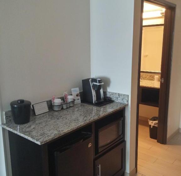 스탠다드 룸 킹사이즈 침대, Holiday Inn Express & Suites Golden, An Ihg
