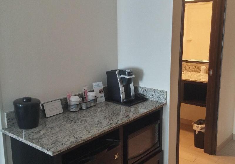 장애인을 위한 킹사이즈 침대 스탠다드 룸, Holiday Inn Express & Suites Golden, An Ihg