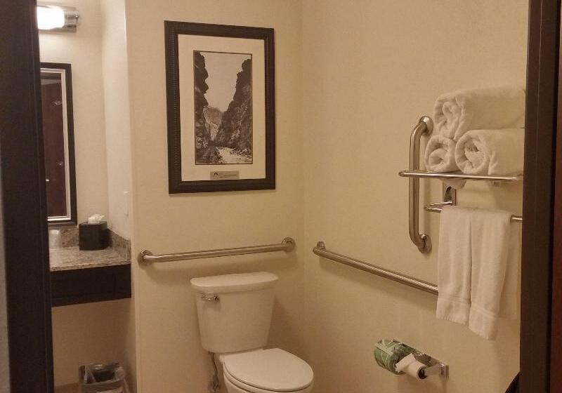 스탠다드 룸 킹사이즈 침대, Holiday Inn Express & Suites Golden, An Ihg