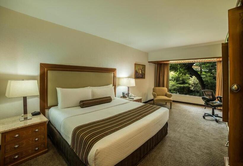 带大床的俱乐部房间, Wyndham Garden Guadalajara Expo Plaza Del Sol