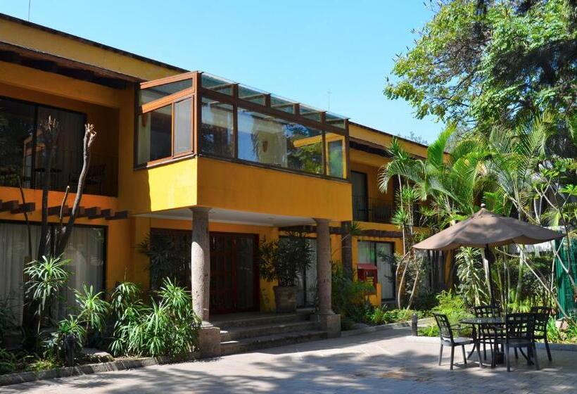 带大床的套房, Wyndham Garden Guadalajara Expo Plaza Del Sol