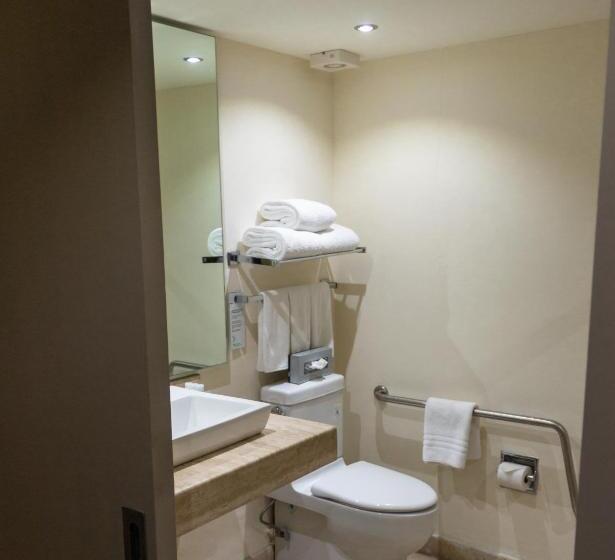 身障者適用スタンダードルーム, Wyndham Garden Guadalajara Expo Plaza Del Sol