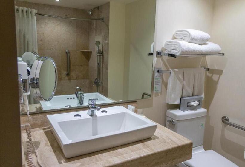 适合残疾人使用的标准间, Wyndham Garden Guadalajara Expo Plaza Del Sol