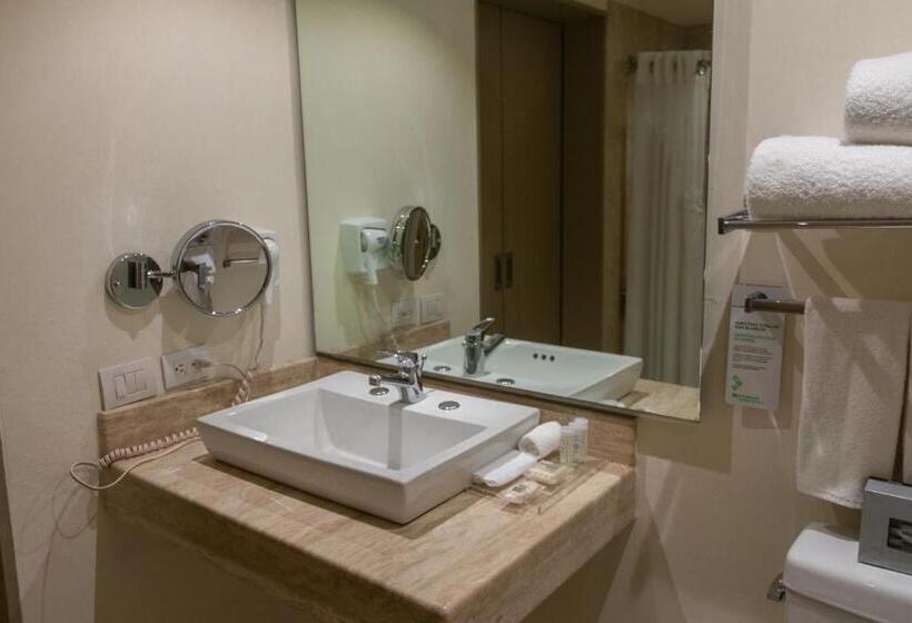 适合残疾人使用的标准间, Wyndham Garden Guadalajara Expo Plaza Del Sol