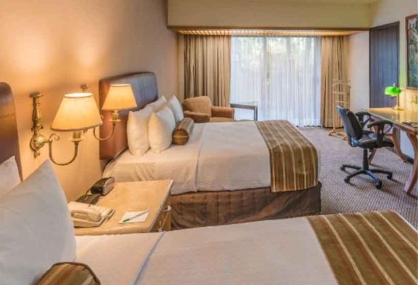 带2个双人床的标准工作室, Wyndham Garden Guadalajara Expo Plaza Del Sol