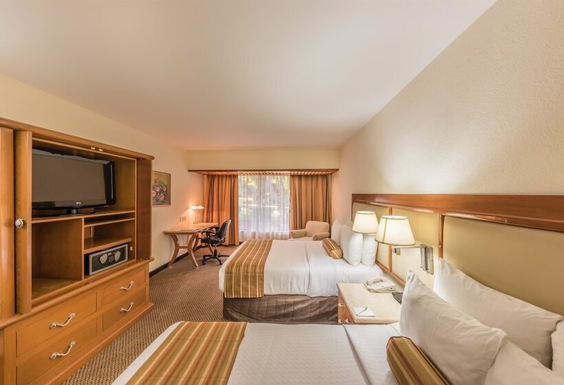 ２ダブルベッドのスタンダードルーム, Wyndham Garden Guadalajara Expo Plaza Del Sol