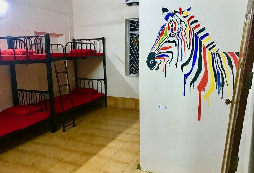 共用房间的床, Bricks And Bamboo Hostel
