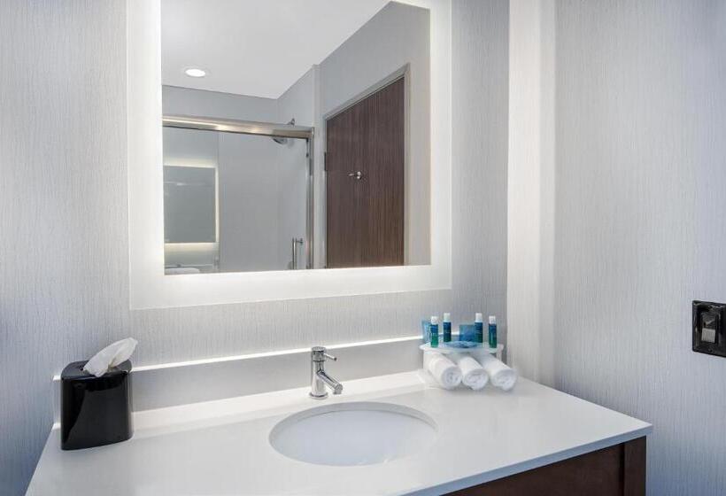 장애인을 위한 스탠다드 룸, Holiday Inn Express & Suites Round Rock   Austin N, An Ihg