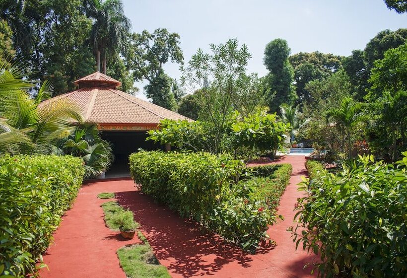 سوییت, Auberge Villa Cana