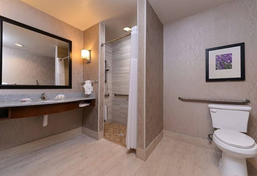 Номер Стандарт Кровать Кинг Адаптированный для Инвалидов, Hilton Garden Inn Hobbs