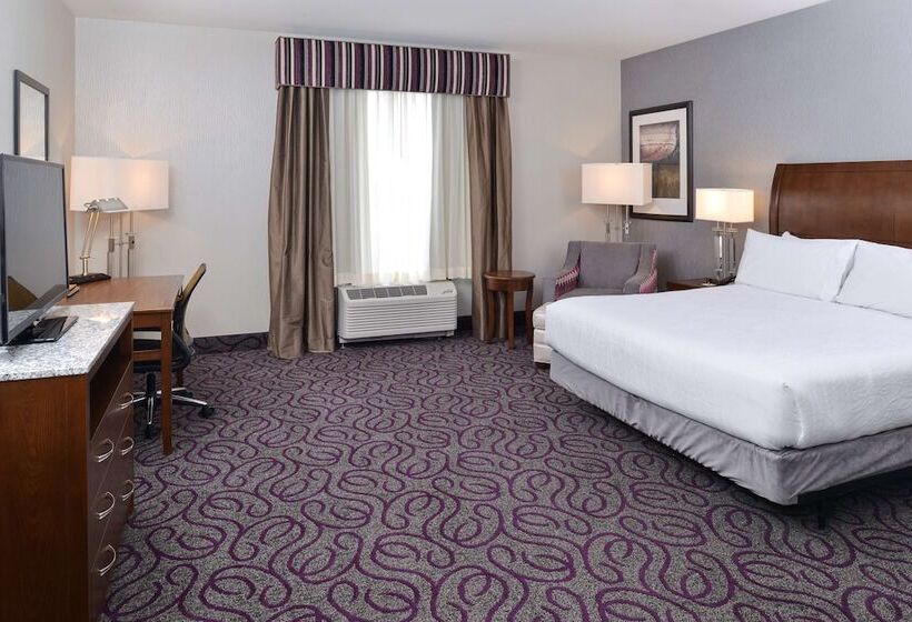 Номер Стандарт Кровать Кинг Адаптированный для Инвалидов, Hilton Garden Inn Hobbs