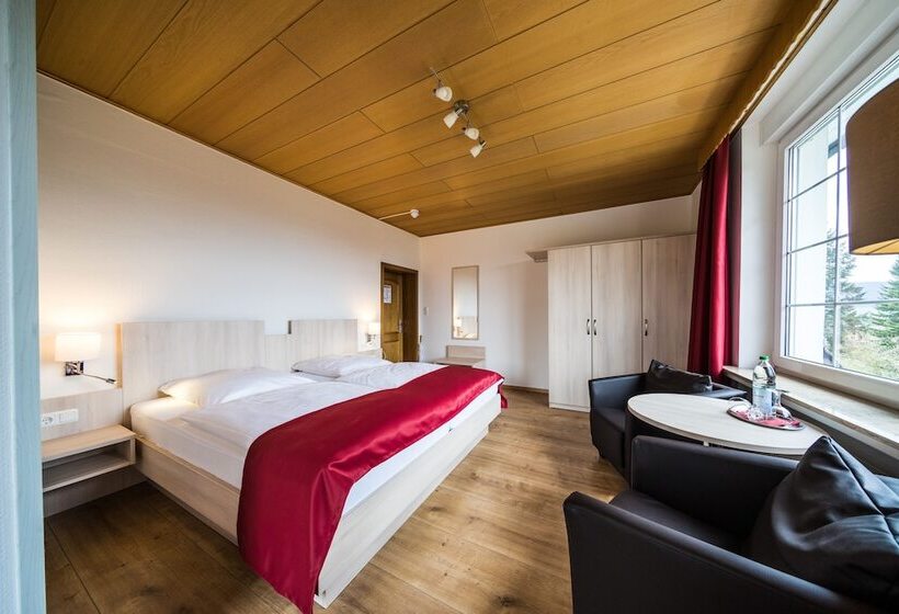 Номер Комфорт, Parkhotel Pyrmont