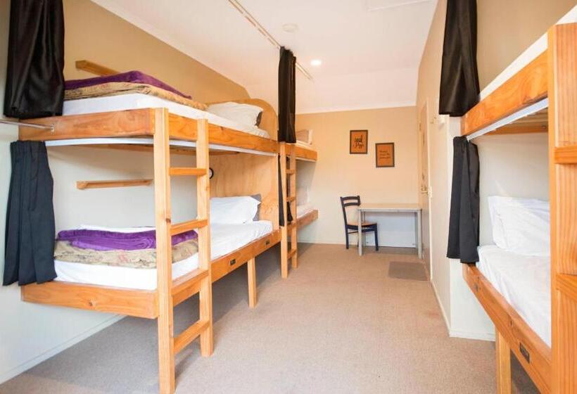 Кровать в Общей Комнате, The Prince Albert Backpackers & Bar