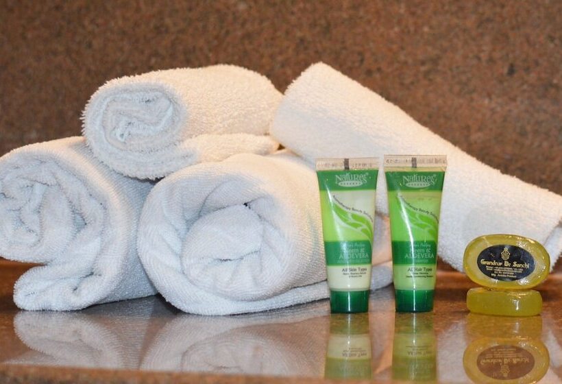 디럭스 룸, Grandeur De Sanchi  Luxury Beach Resort & Spa