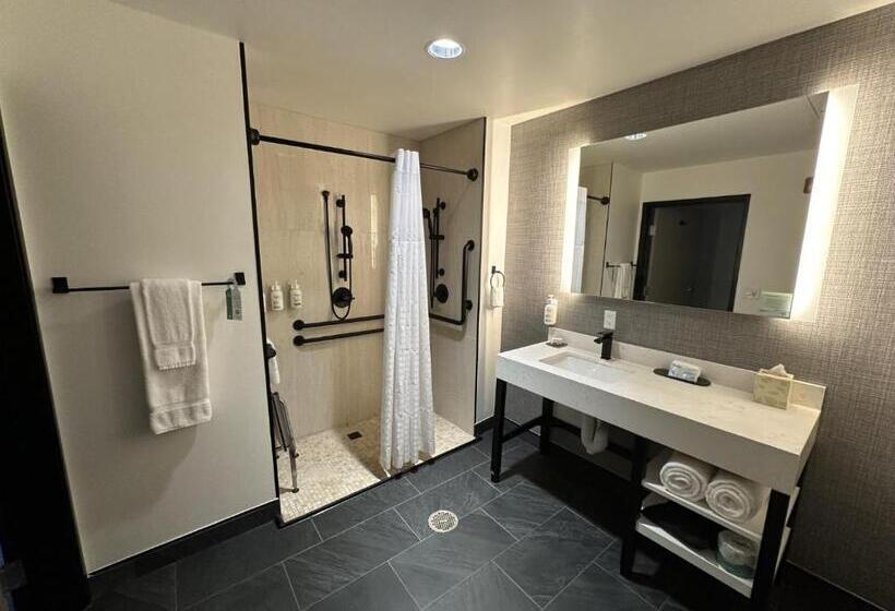 Номер Стандарт Кровать Кинг Адаптированный для Инвалидов, La Quinta Inn & Suites By Wyndham Yucaipa