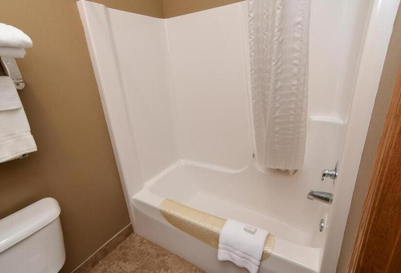 Стандартный Номер Кровать Кинг, Cobblestone Inn & Suites   Denison | Majestic Hills