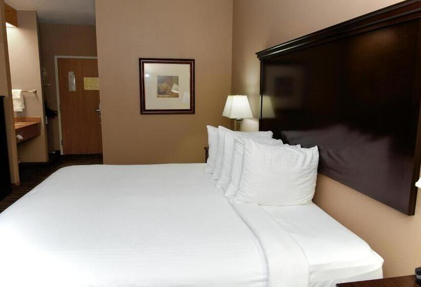 Номер Стандарт Кровать Кинг Адаптированный для Инвалидов, Cobblestone Inn & Suites   Denison | Majestic Hills