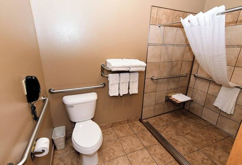 Номер Стандарт Кровать Кинг Адаптированный для Инвалидов, Cobblestone Inn & Suites   Denison | Majestic Hills