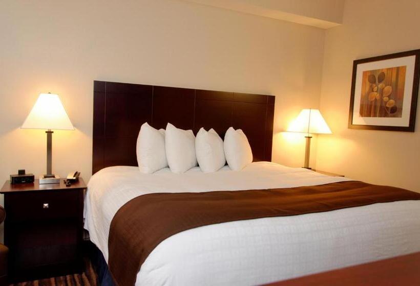 带大床的标准间, Cobblestone Inn & Suites  Fort Madison