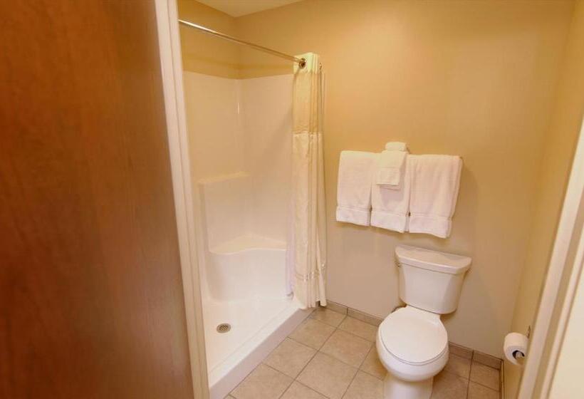 带大床的标准间, Cobblestone Inn & Suites  Fort Madison