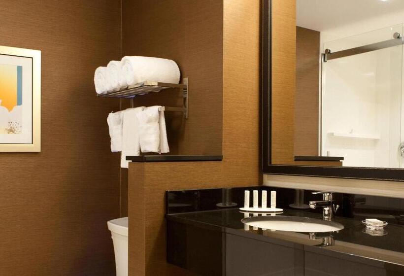 キングサイズベッドのスタンダードルーム, Fairfield Inn & Suites By Marriott Lethbridge