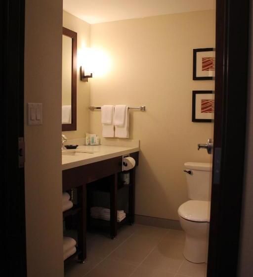 Стандартный Номер Кровать Кинг, Comfort Inn & Suites Edmonton International Airport