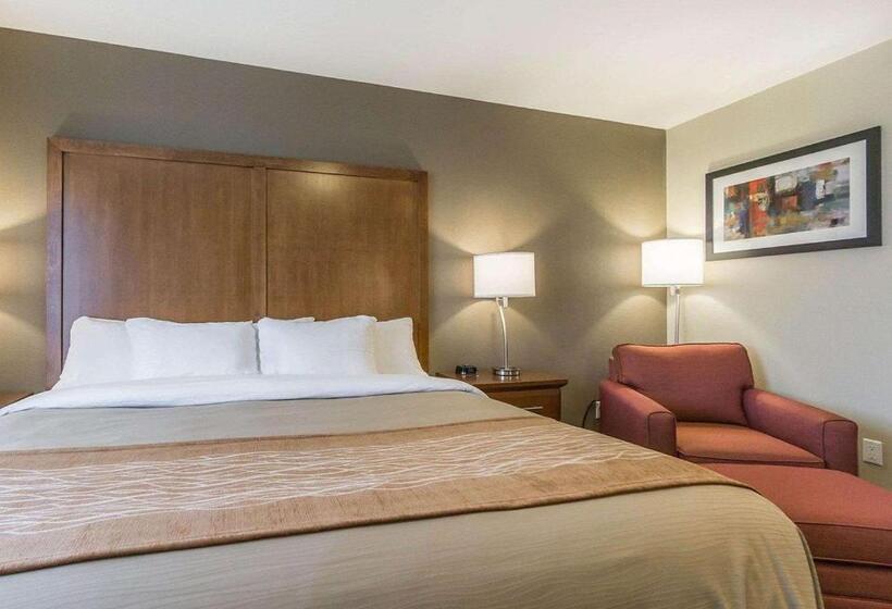 Стандартный Номер Кровать Кинг, Comfort Inn & Suites Edmonton International Airport