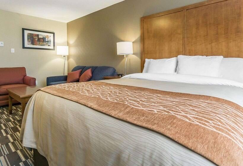 Президентский Люкс, Comfort Inn & Suites Edmonton International Airport