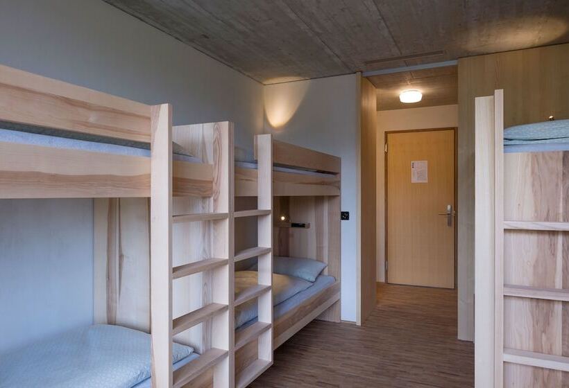 اتاق استاندارد با سرویس بهداشتی مشترک, Saanen Gstaad Youth Hostel