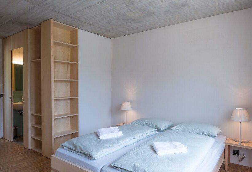 اتاق استاندارد یک نفره, Saanen Gstaad Youth Hostel