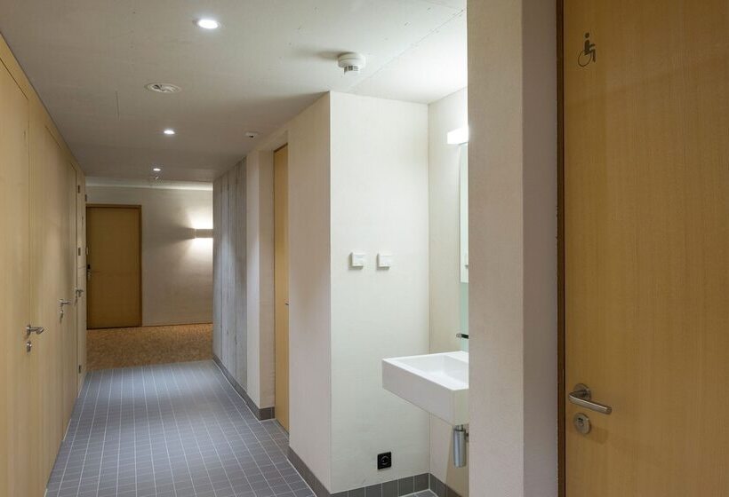 اتاق استاندارد چهارنفره با سرویس بهداشتی مشترک, Saanen Gstaad Youth Hostel