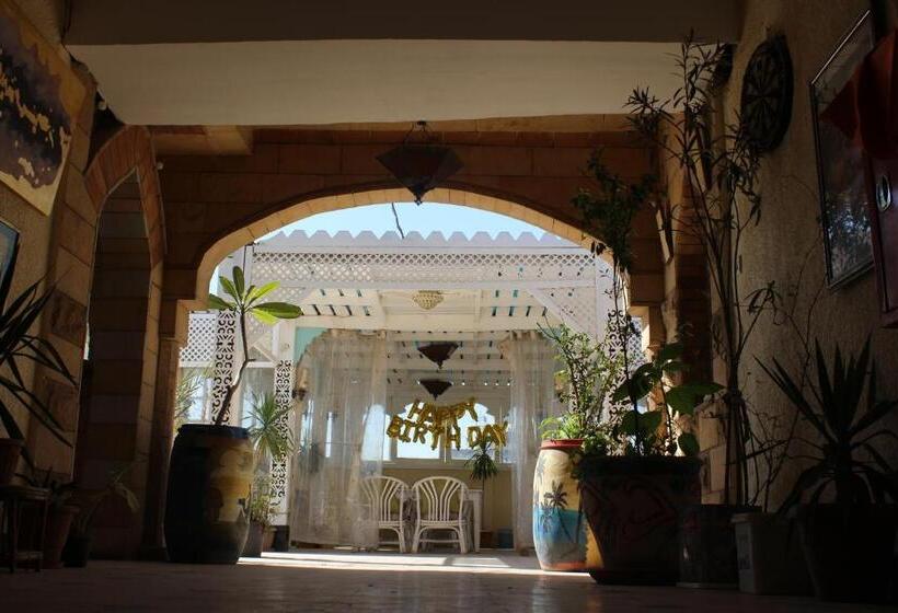 اتاق استاندارد یک نفره, Osiris Hotel Cairo
