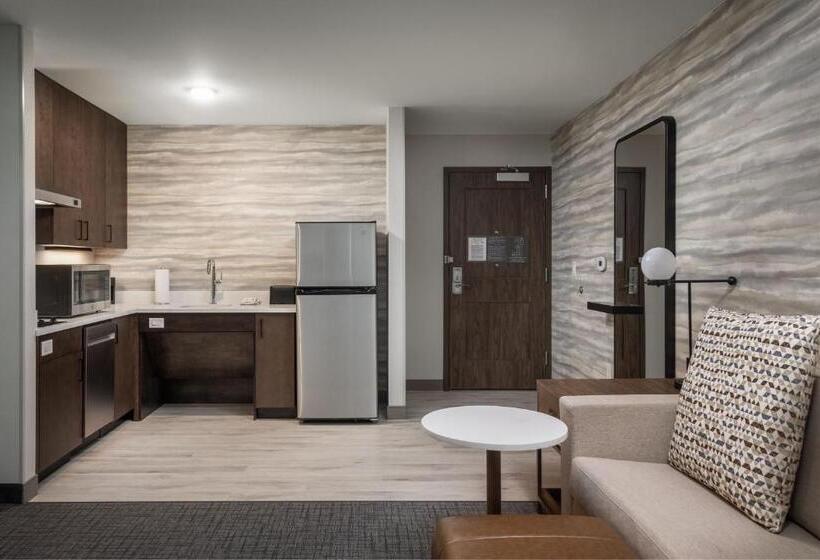 带大床的套房, Residence Inn By Marriott Denver Aurora