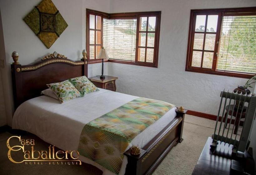 스탠다드 룸, Casa Caballero Hotel Boutique