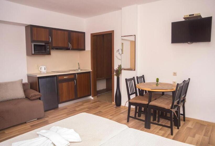 Студия Стандарт, Chrystal Guest House