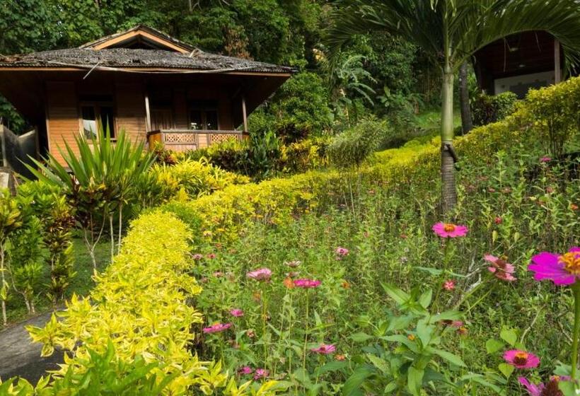 패밀리 룸 바다 전망, K2 Lembeh Dive Resort