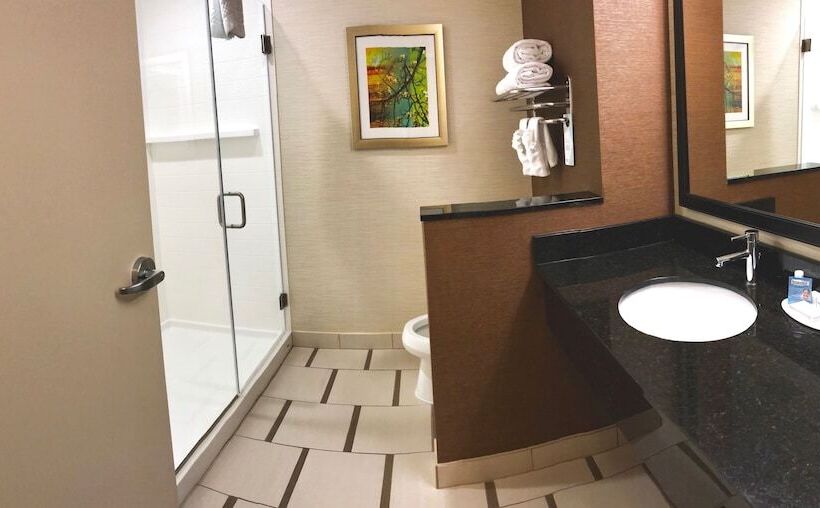 Президентский Люкс, Fairfield Inn & Suites By Marriott Austin San Marcos