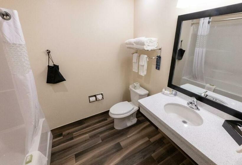 스탠다드 룸, Cobblestone Hotel & Suites Sheldon