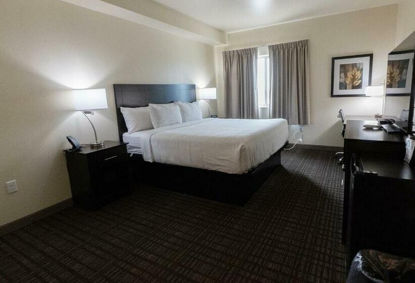 스탠다드 싱글 룸, Cobblestone Hotel & Suites Sheldon