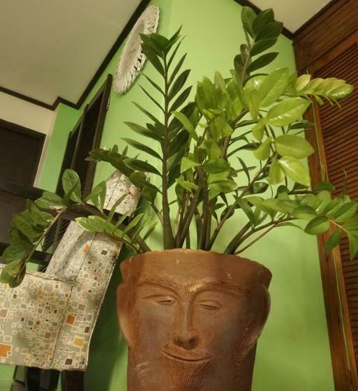 اتاق لوکس با بالکن و چشم‌انداز دریا, Blu Vista Cottages