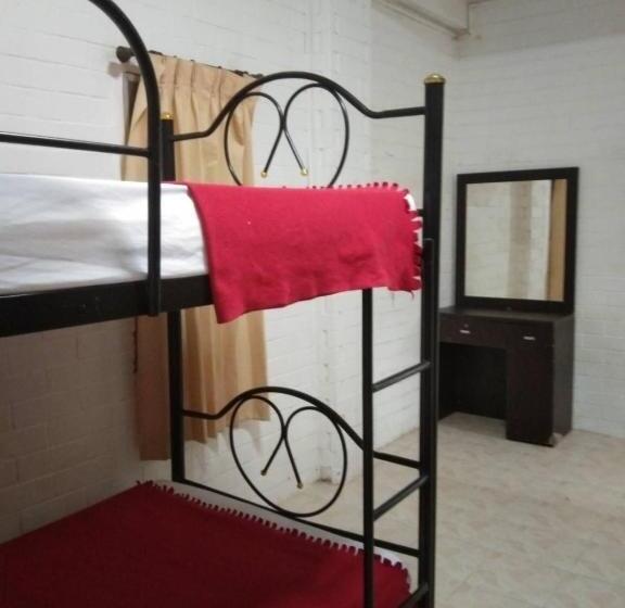 2间卧室的房子, Monkey Samui Hostel