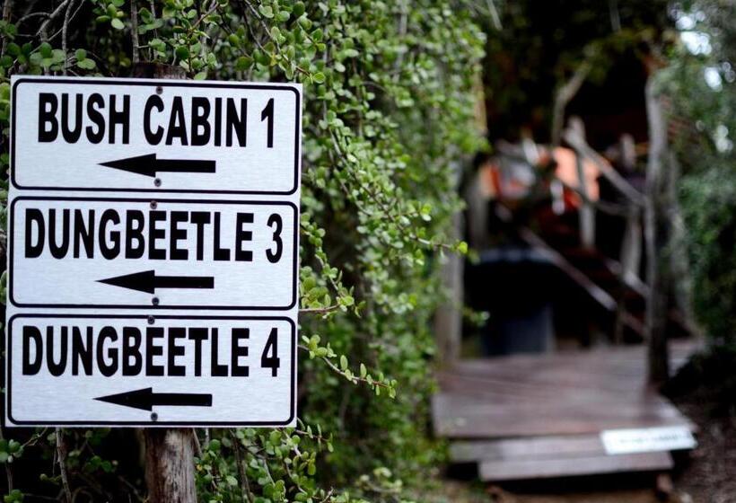 스위트, Addo Dung Beetle Guest Farm