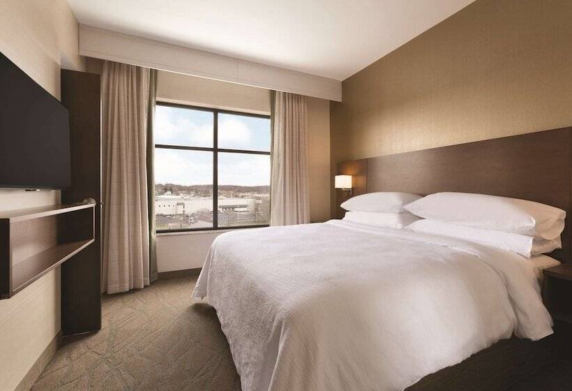 Люкс Премиум, Embassy Suites By Hilton Akroncanton Airport
