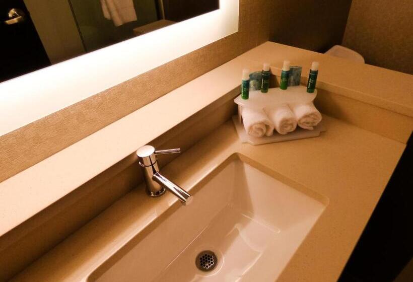 Стандартный Номер Кровать Кинг, Holiday Inn Express & Suites Plymouth   Ann Arbor Area, An Ihg