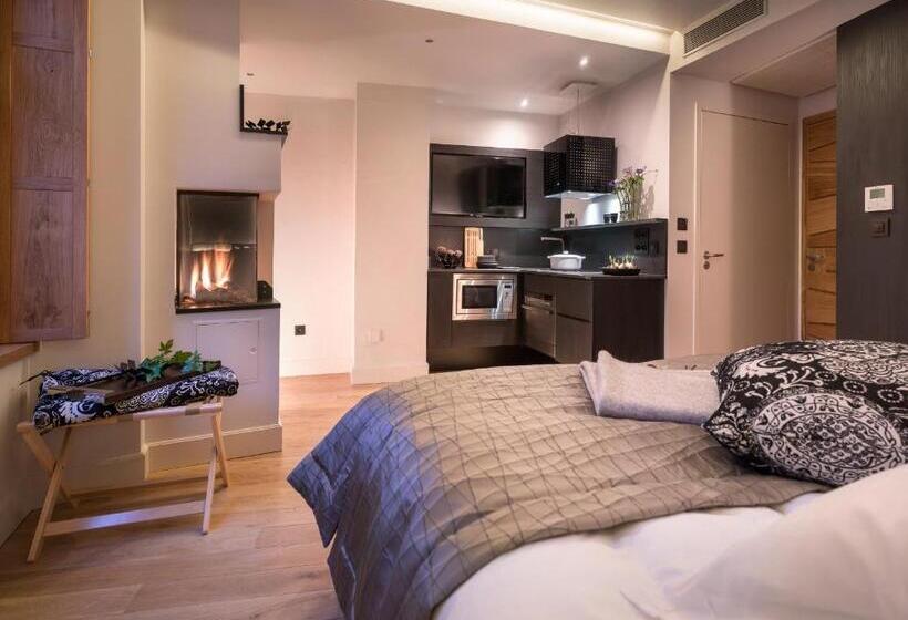 Студия Стандарт, Les Loges Annecy Vieille Ville